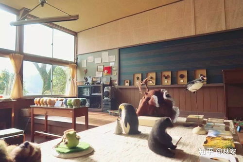 年轻人在乡村工作场景