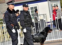 《借命而生》：肉联厂厂花追到小警察的那些事儿