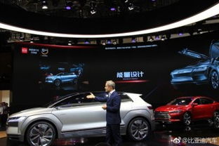 D级概念车王朝再向上：比亚迪与微博年度汽车大选的碰撞