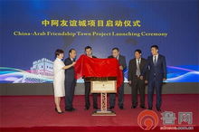 中阿合作项目