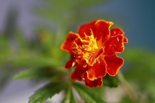 我活着，不是为了讨你喜欢：这篇清醒文案，骂醒无数人