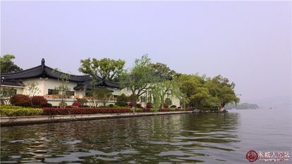 杭州之行：清零茶与游记的完美邂逅