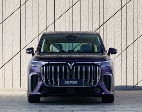 岚图梦想家获奖