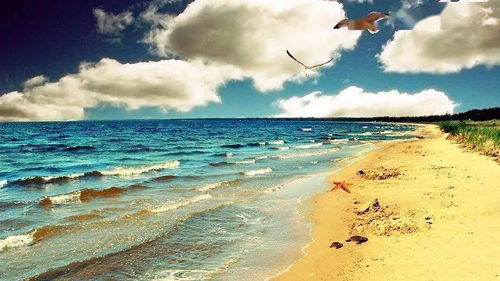 第二十一集：沧溟诡礁——深海探险的惊魂一刻