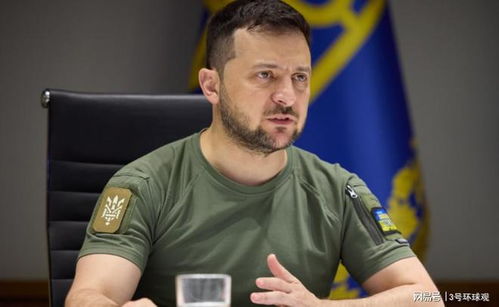 泽连斯基讲话