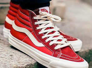 万斯的和平提案：俄乌冲突能否因领土让步而终结？