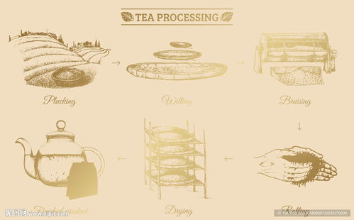 制茶工艺