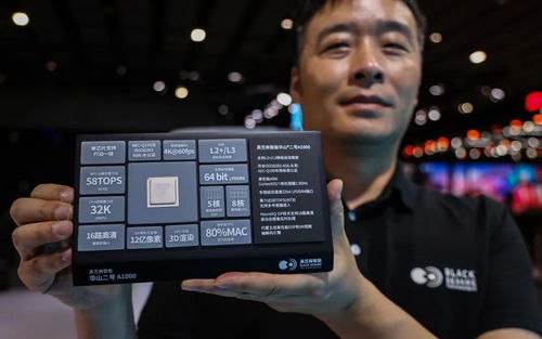 定点车型无爆款，黑芝麻智能如何破局？