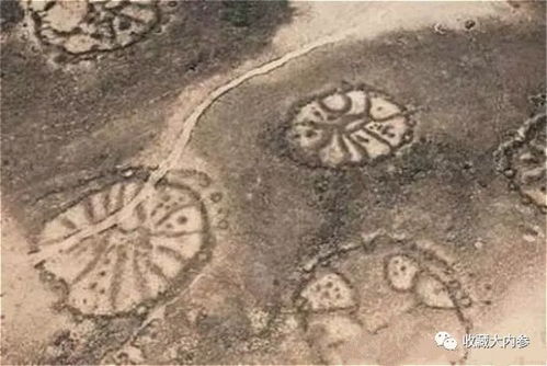 纳斯卡线中的动物图案