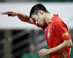 王励勤、马龙出任乒协正副主席：背后的故事与奥运备战影响