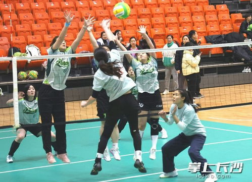 WBG不敌WE，粉丝热议战队状态低迷原因