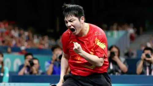 樊振东参与公益