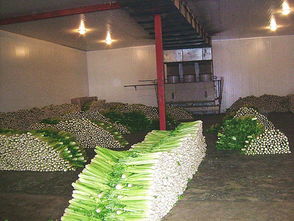 当地回应女子被男同事关进冷库：真相远比想象更残酷