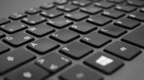 从IP改名到全网50万粉，他的定位真的太牛了！