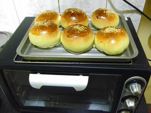 为什么欧洲人爱硬面包？主食背后的秘密