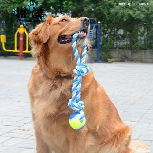 安全宠物玩具