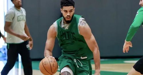 塔图姆日常训练照片