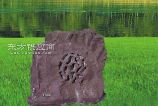 丽水居民家中藏数百块大石头，最新进展来了！