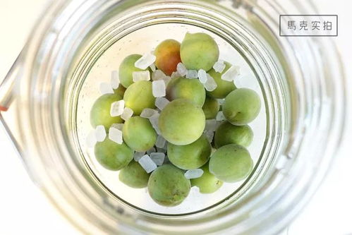 自制青梅泡酒过程