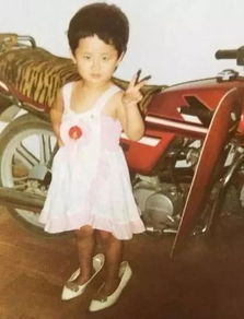 杨紫《家业》杀青，她的未来规划引热议