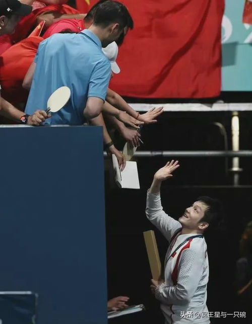 王励诚邀樊振东加盟上海队，背后故事大揭秘！
