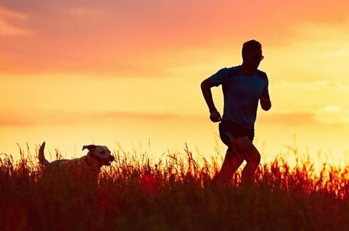 一个正在跑步的人