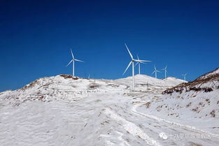 深冬的枯瑟之境，一场与自然的深情对话