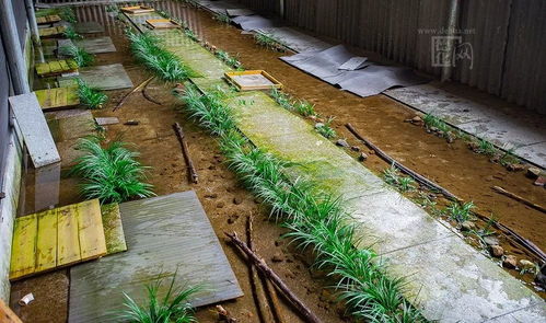 养殖场内部环境