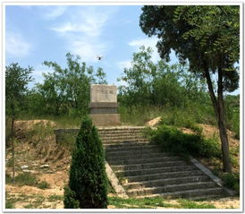 四川遗址惊现大量烧烤痕迹，7万年前古人竟是烧烤高手？