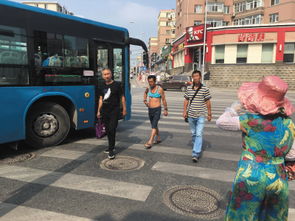 公交车礼让行人