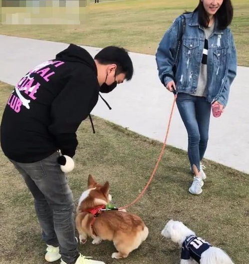 刘奕畅李沐宸疑似同居，娱乐圈爱情故事又添新料！