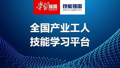 年轻人专注学习新技能