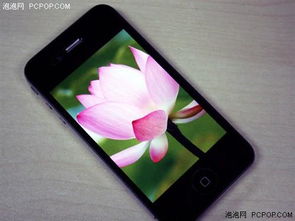 简书APP上的文章截图