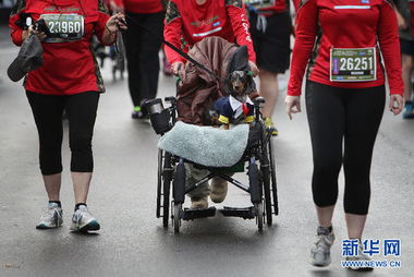 运动强度和效果的关系：量大就真的更好吗？