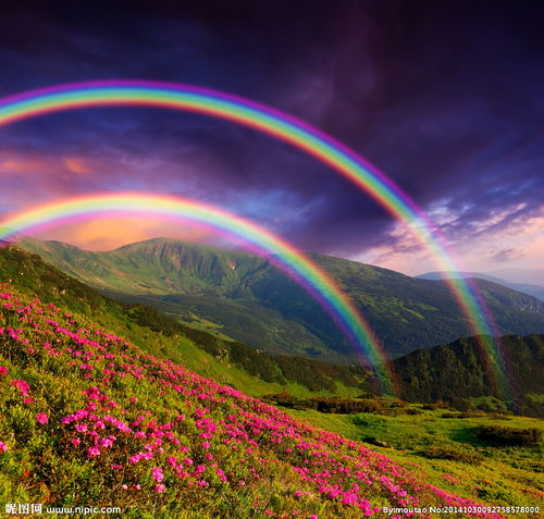 风雨后的彩虹象征着希望与重生