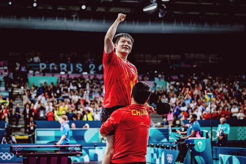 樊振东训练场景