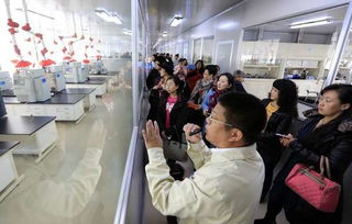 上海车展外企组团参观国产汽车：一场技术与实力的较量