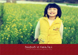 必看古言逆袭甜爽文！武宁馨顾凌风《农门福女：丞相夫君他夜夜想杀我》开启传奇人生