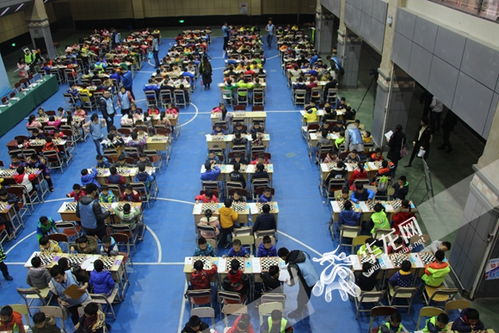 比赛现场全景图