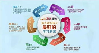 高效阅读的流程图