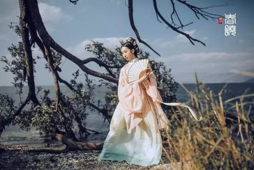 新中式倍速入夏挑战：一场夏日的奇妙冒险