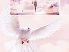 象征和平与希望的画面