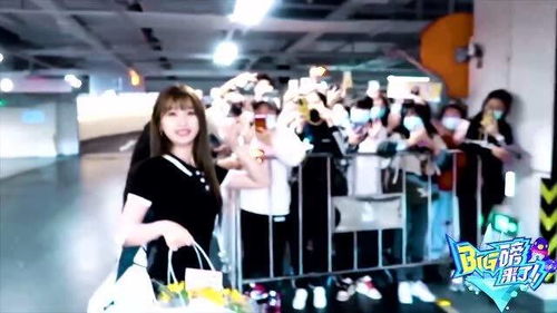 虞书欣新剧开机，现场直击《灿如繁星》的星光闪耀