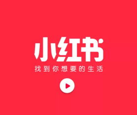 小红书取消大小周，五一后执行：员工心声与未来展望