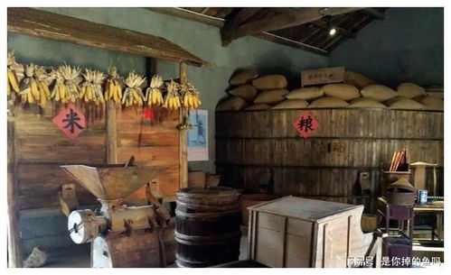 现代化粮仓内部结构展示