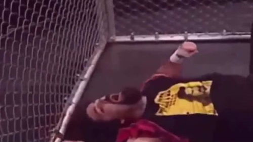 激烈的对战场面