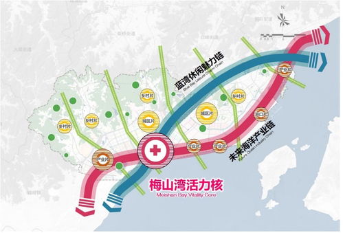 杨紫对未来规划的说明图