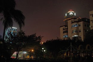 我想今夜注定要失眠