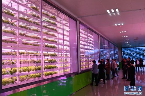 农业科技展览现场