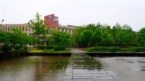 大学校园里的青春岁月